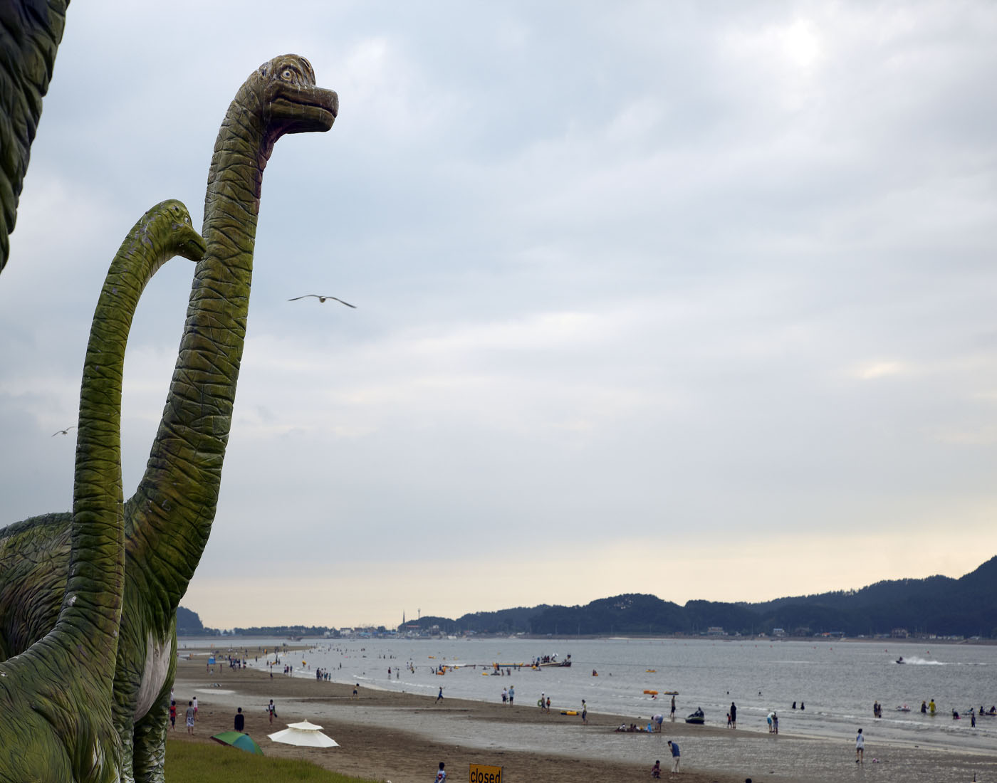 1. Plastic Eye, Lamda Print, 120x170cm, 2010