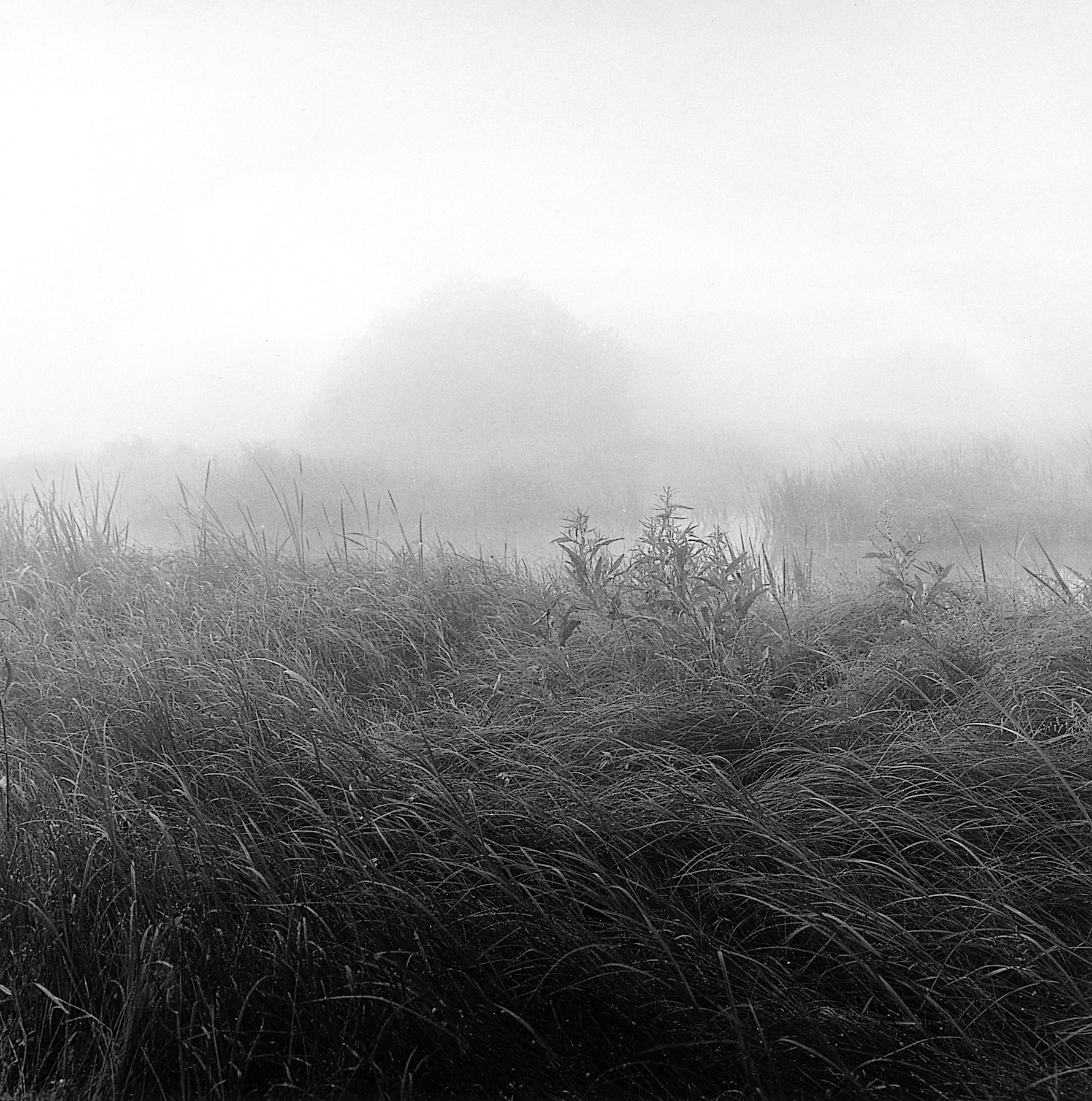 1. existence serise 2, Gelatin Silver Print, 16x20inch, 2005-2011