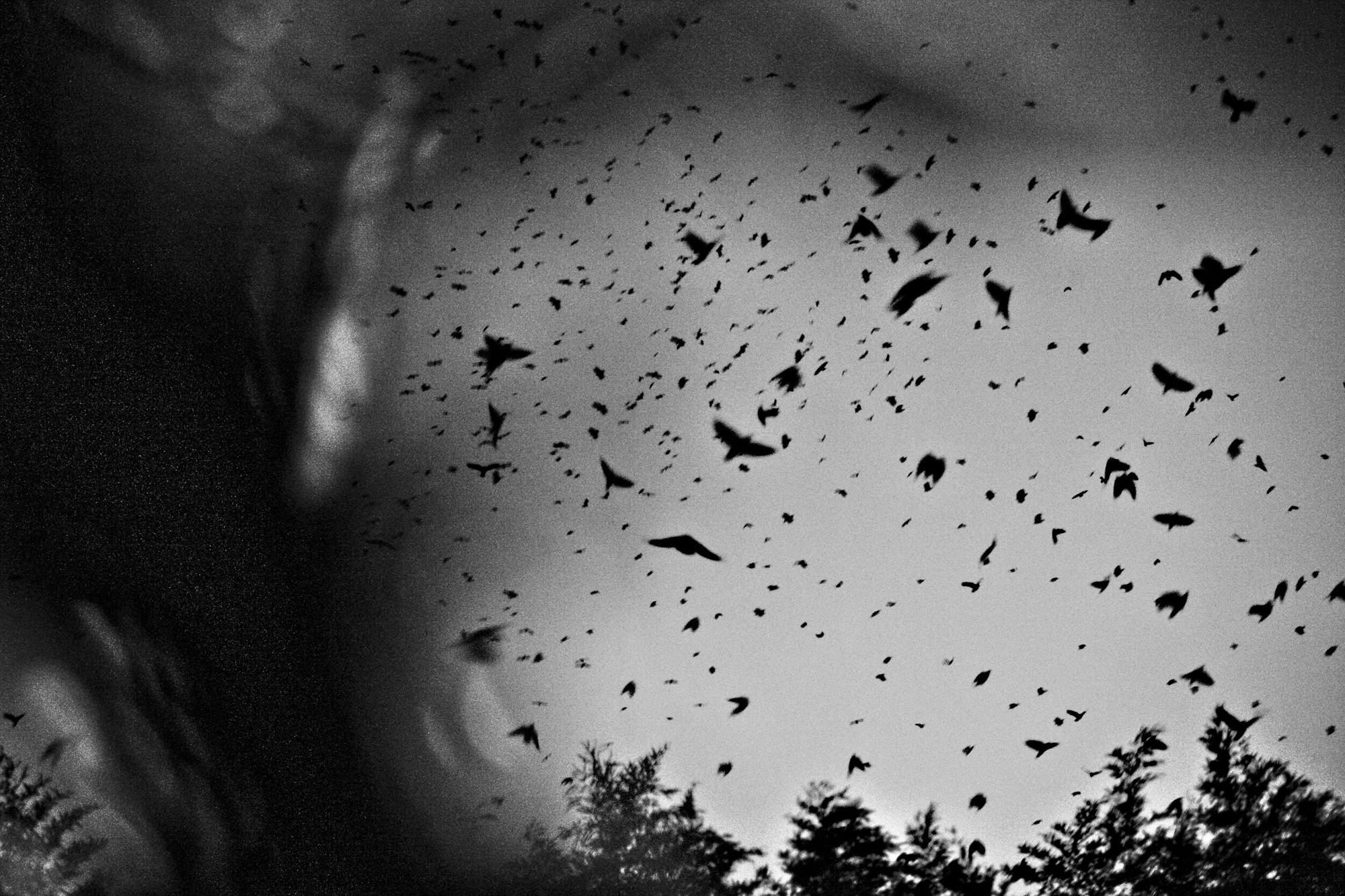 10. Life from Time-Space, 2014