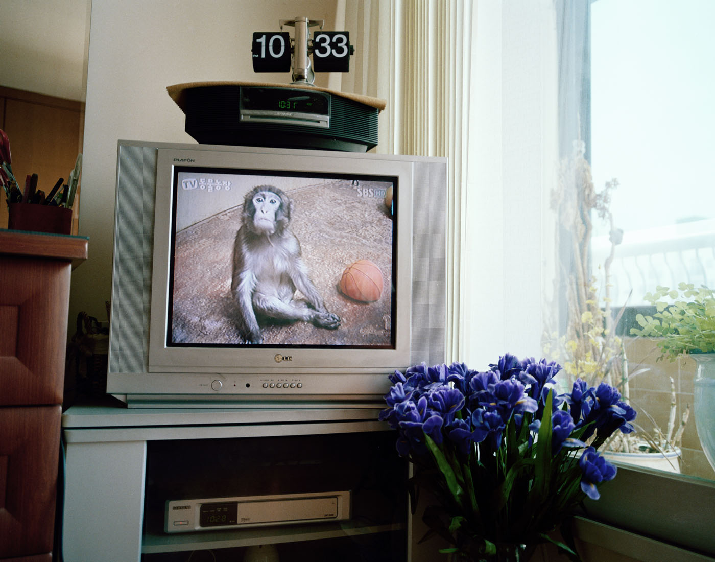 10. Plastic Eye, Lamda Print, 120x170cm, 2010