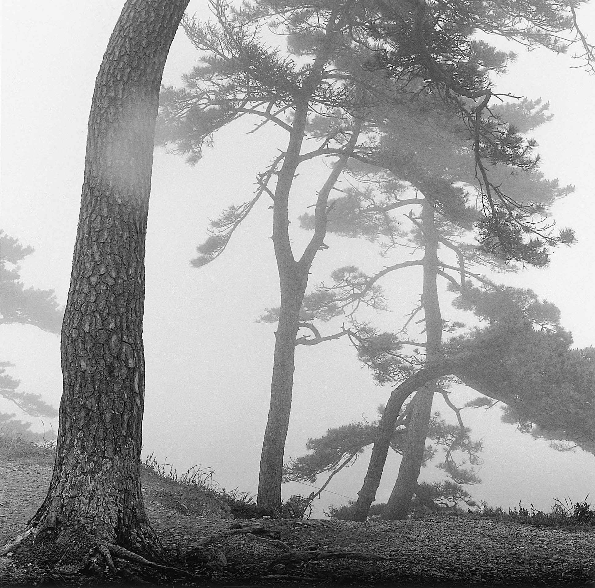 10. existence serise 2, Gelatin Silver Print, 16x20inch, 2005-2011