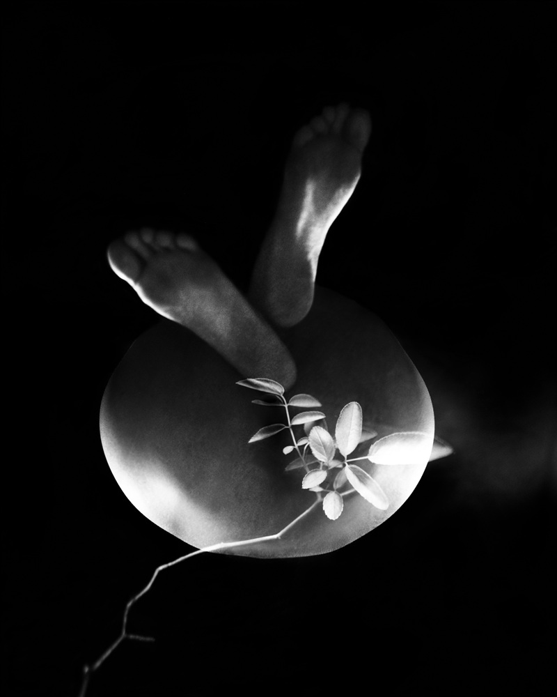 11-[FLOWOM]_pigment prin_40x50in_2008