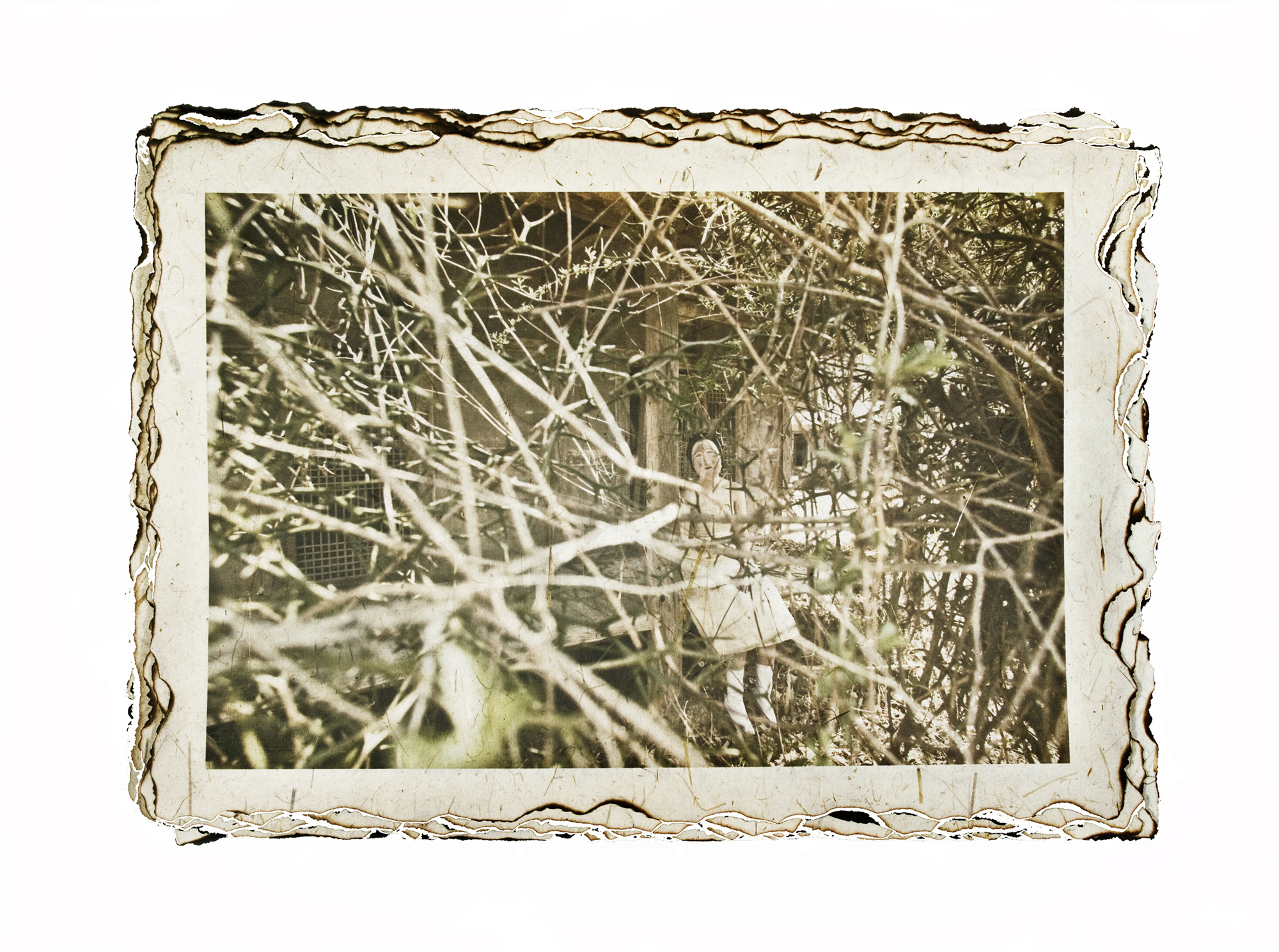 11-[脫;脫]_hanji,pigment prin_40x60in_2009