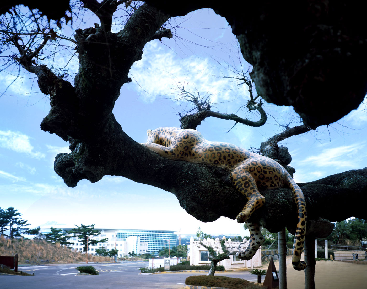 11. Plastic Eye, Lamda Print, 120x170cm, 2010