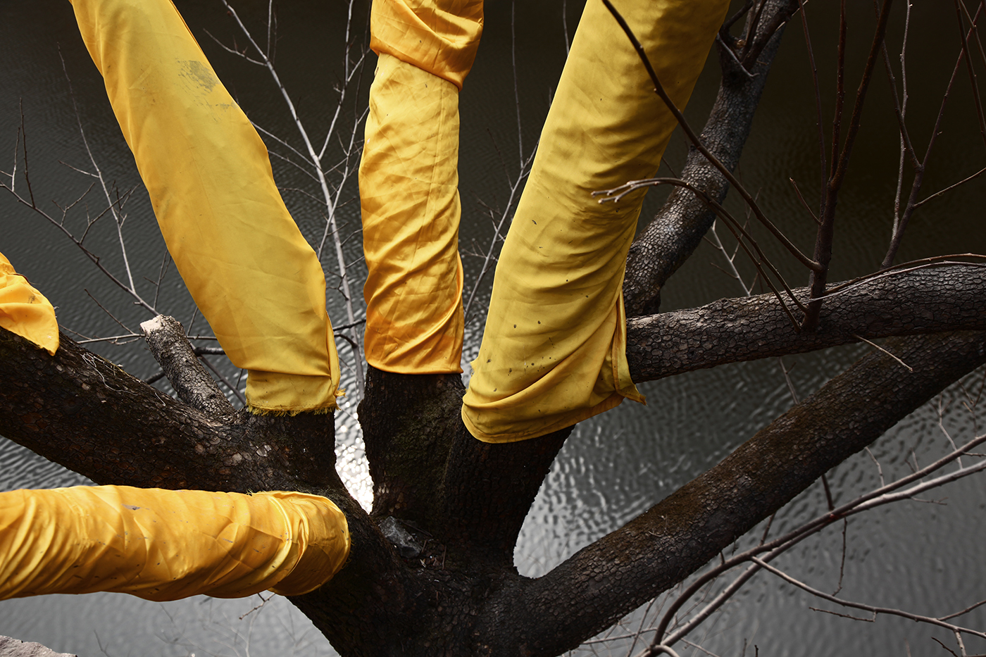 11. Wish is Sobbing bitterly, 100x80cm, 2014