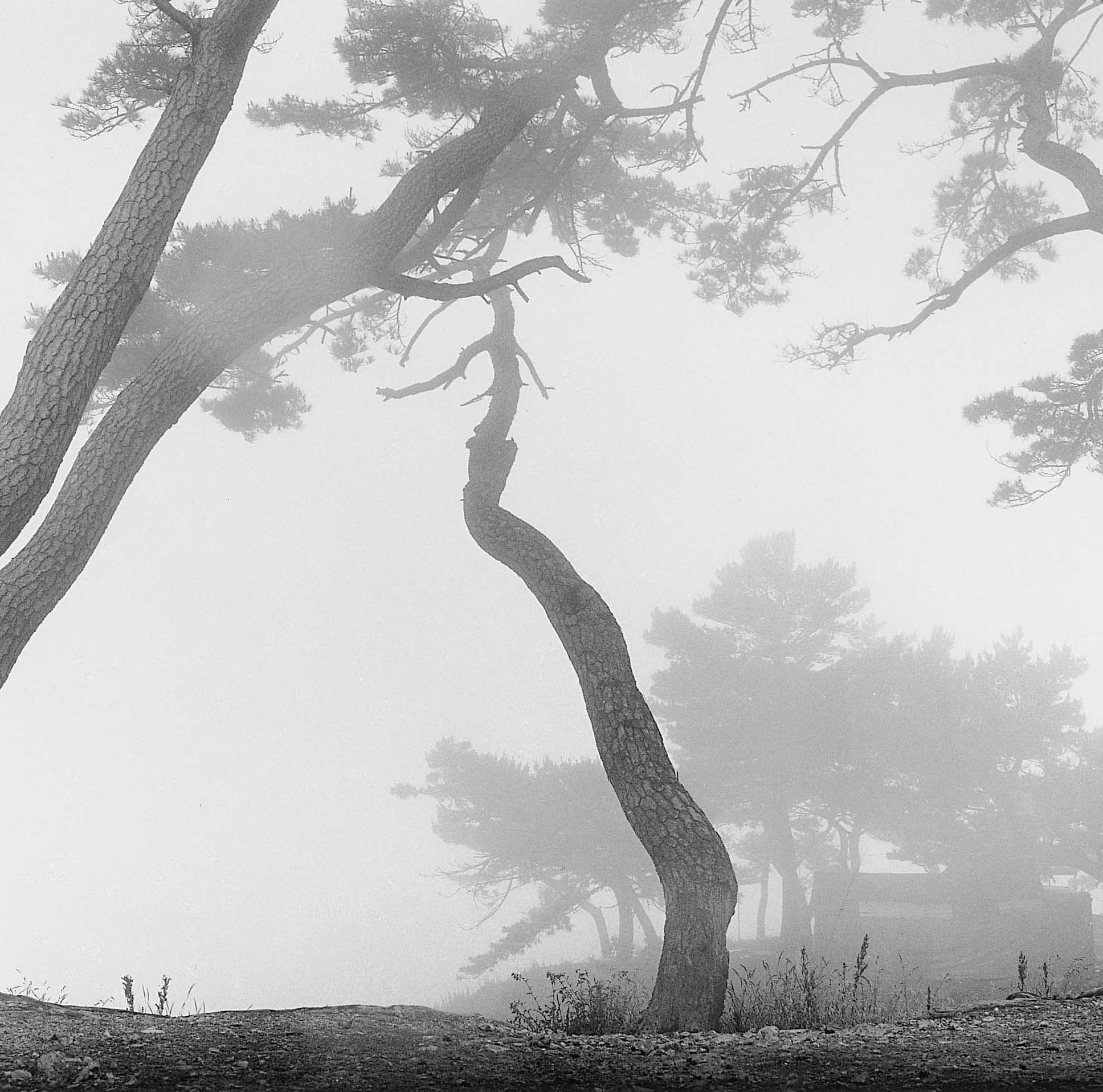 11. existence serise 2, Gelatin Silver Print, 16x20inch, 2005-2011