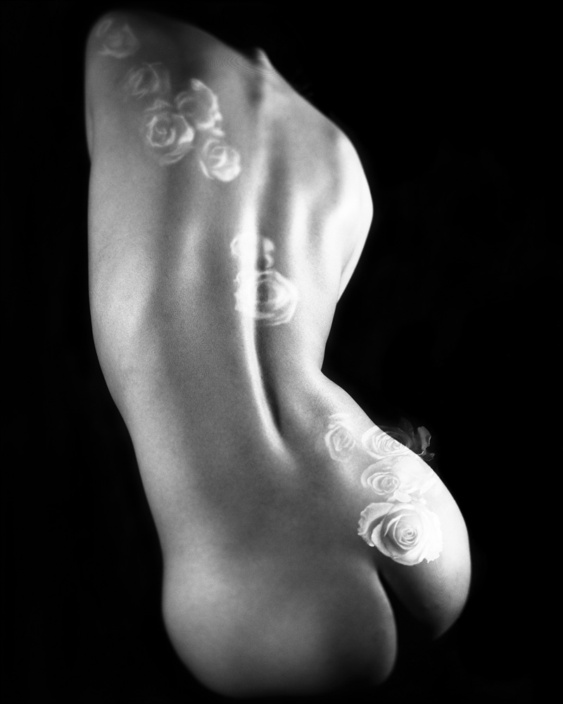 12-[FLOWOM]_pigment prin_40x50in_2008