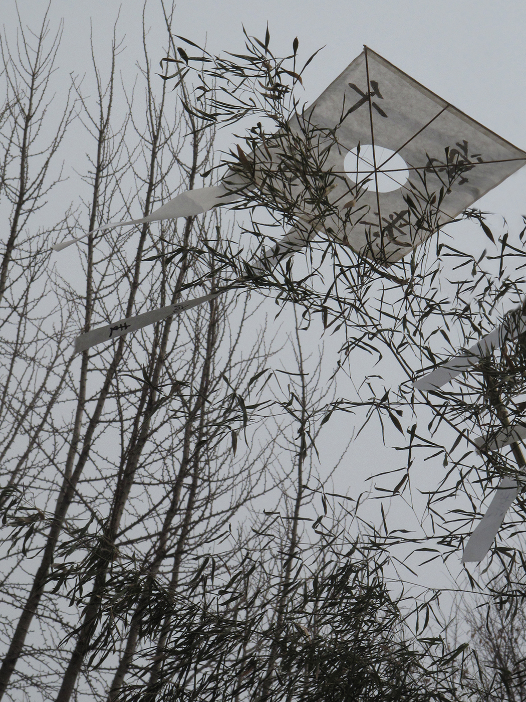 12. Wish is Sobbing bitterly, 100x80cm, 2014