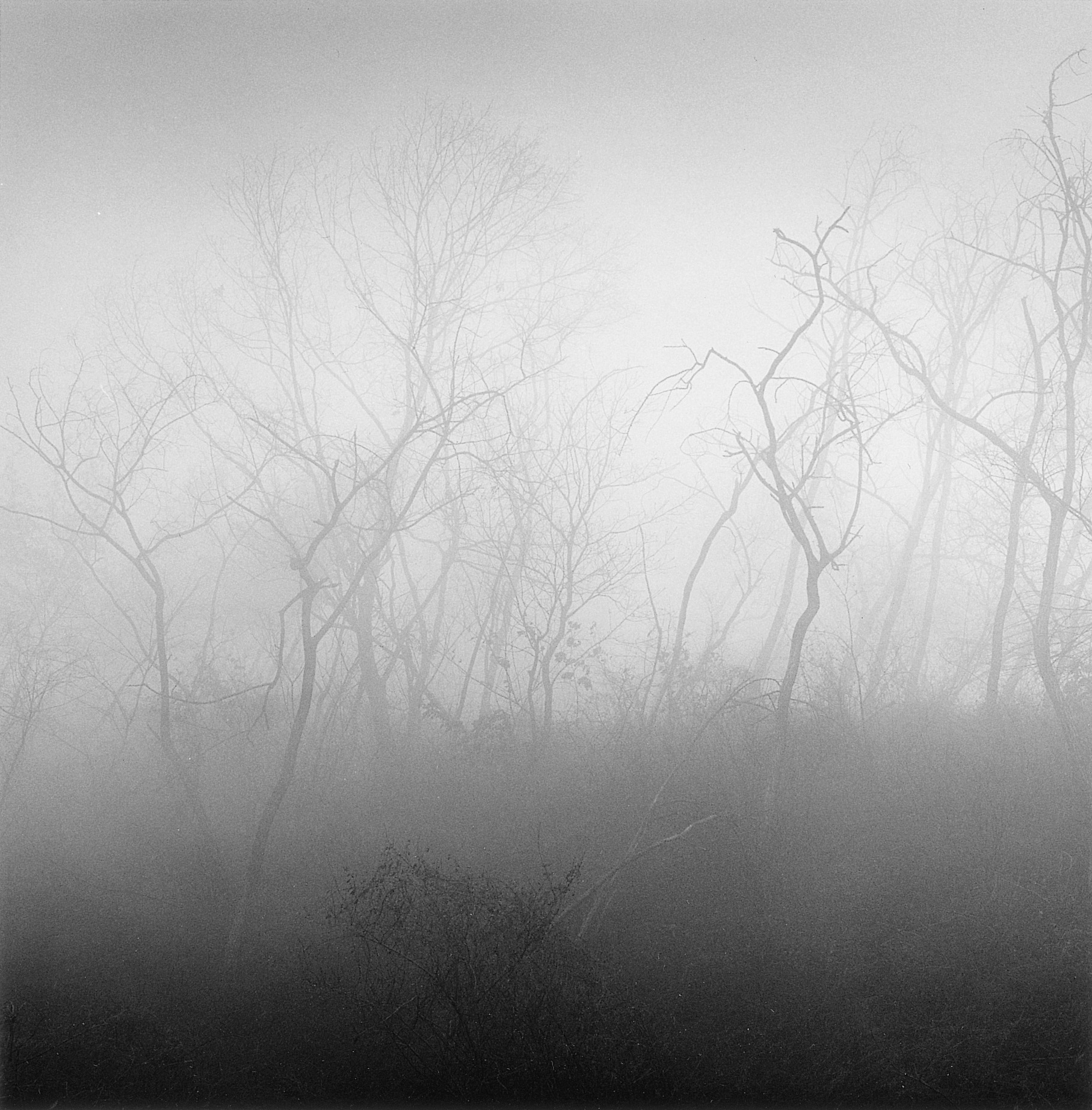 12. existence serise 2, Gelatin Silver Print, 16x20inch, 2005-2011