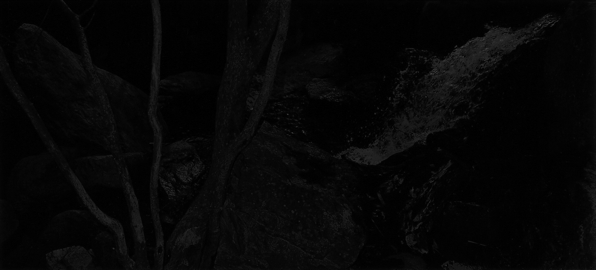 12. 범어사, Gelatin Silver Print, 91x185cm, 2007