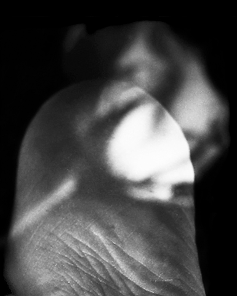 13-[FLOWOM]_pigment prin_40x50in_2008