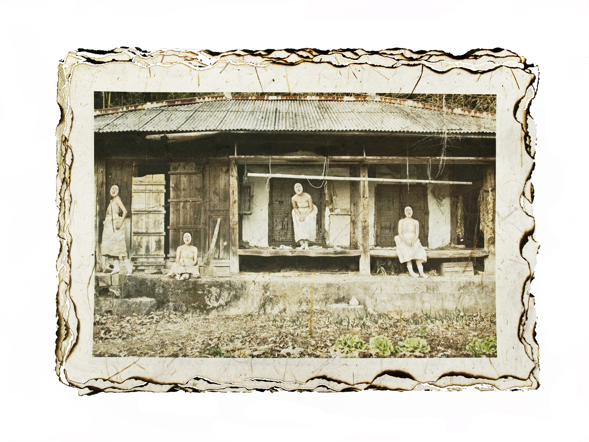 13-[脫;脫]_hanji,pigment prin_40x60in_2009