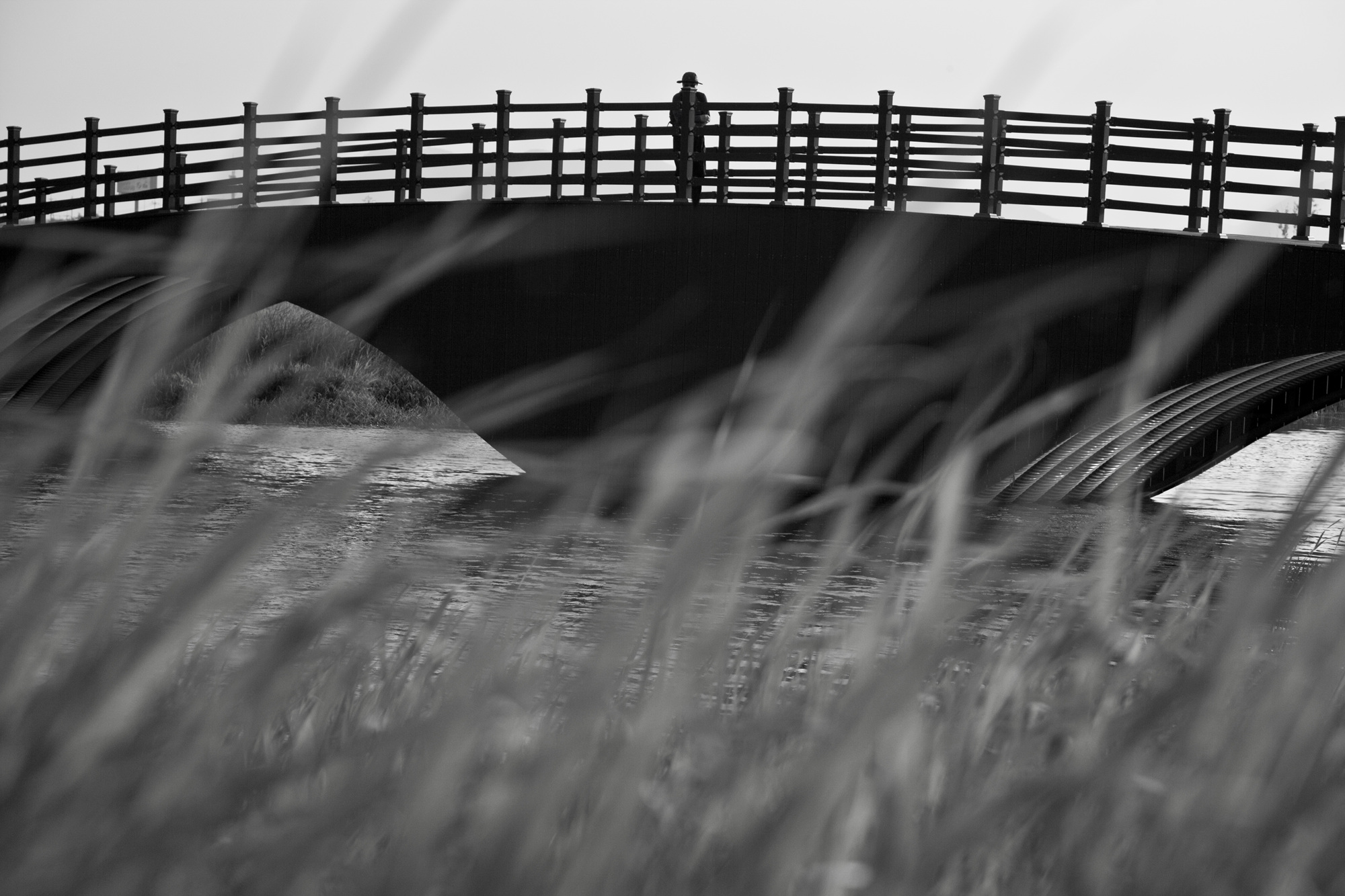 13. Life from Time-Space, 2014