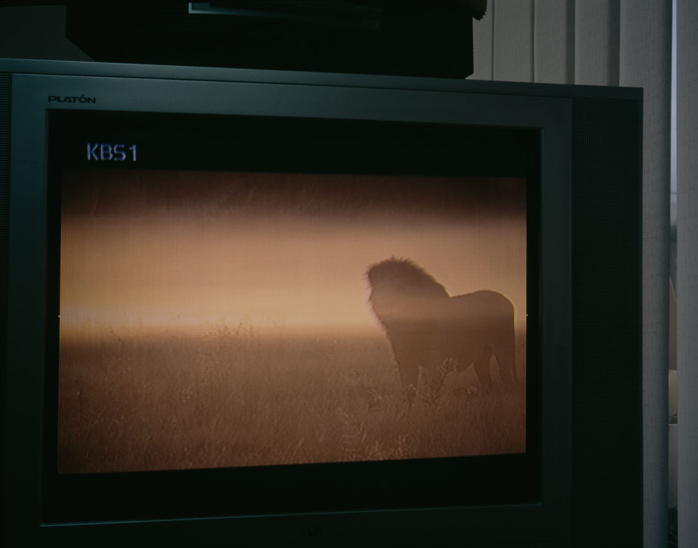 13. Plastic Eye, Lamda Print, 120x170cm, 2010