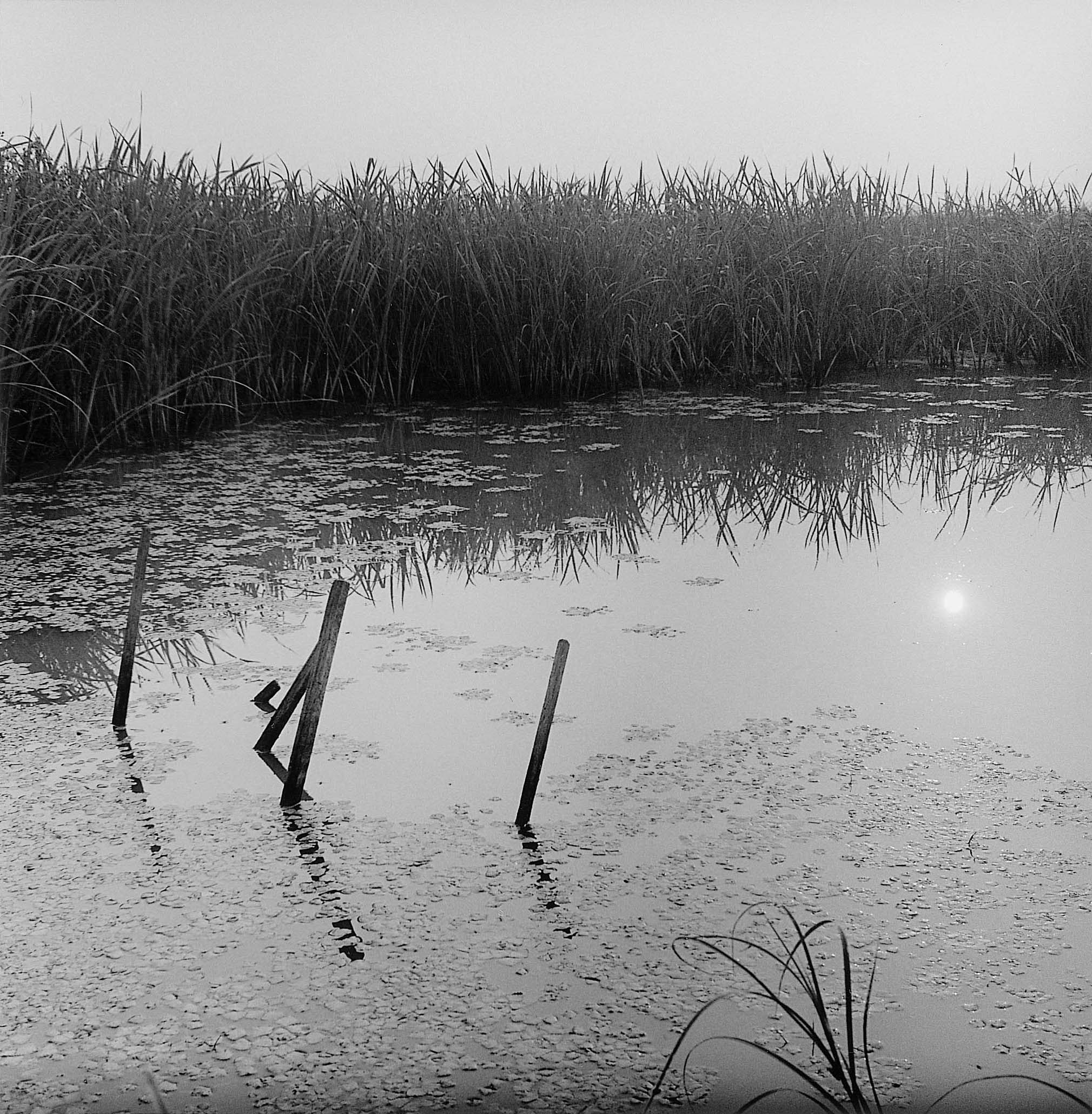 13. existence serise 2, Gelatin Silver Print, 16x20inch, 2005-2011