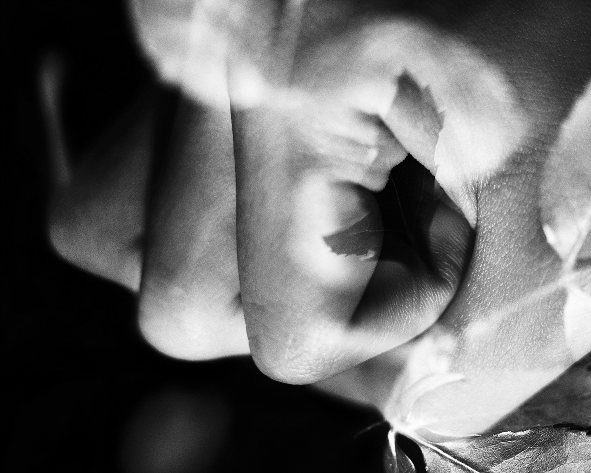 14-[FLOWOM]_pigment prin_40x50in_2008