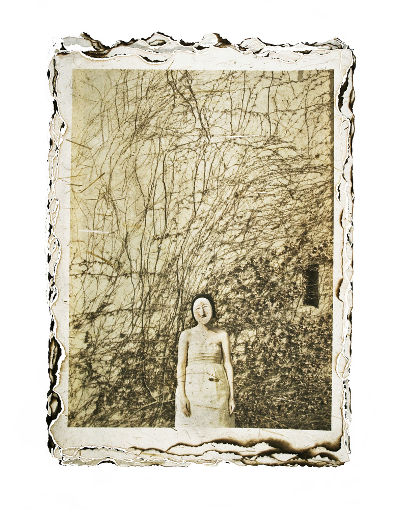 14-[脫;脫]_hanji,pigment prin_60x40in_2009