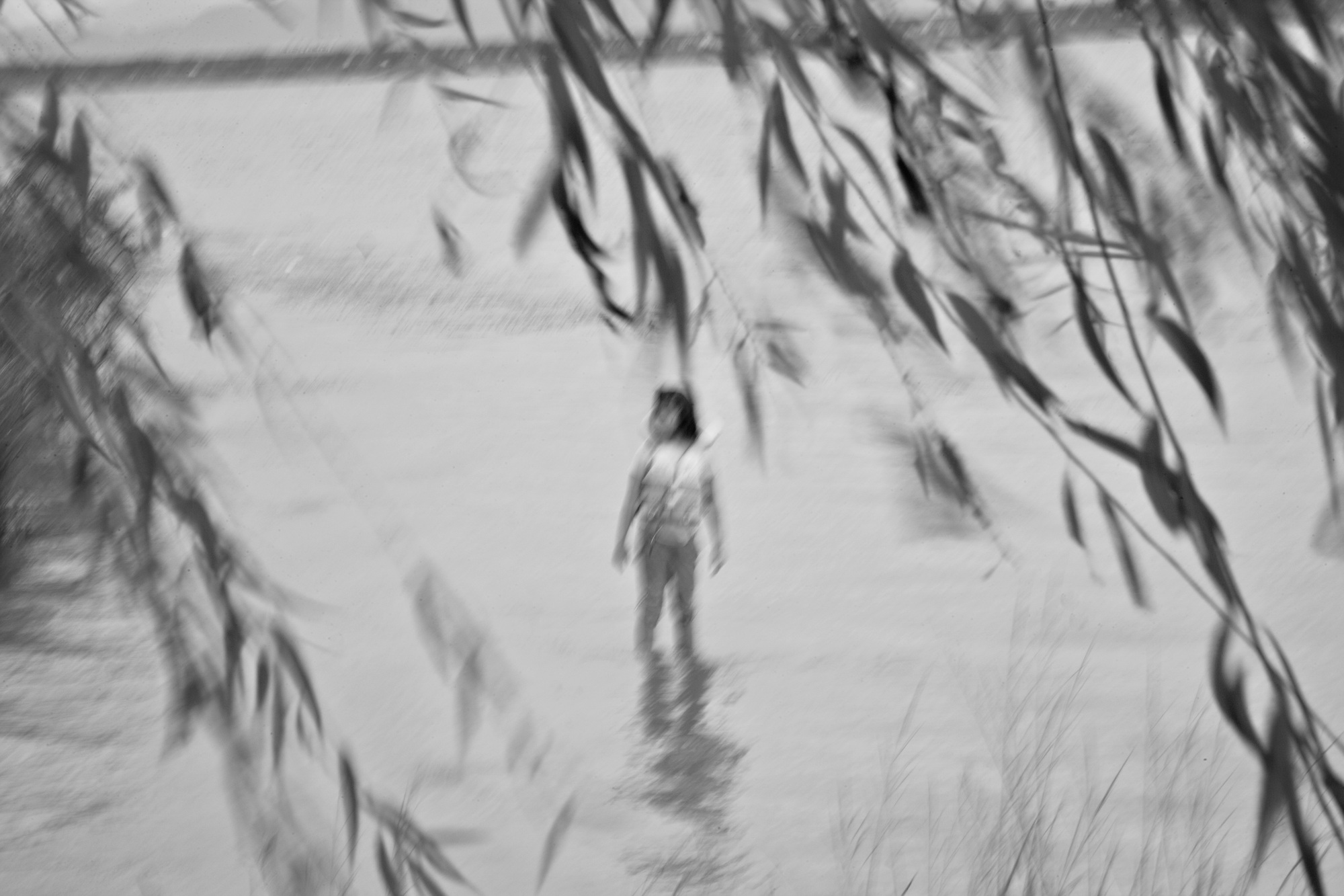 14. Life from Time-Space, 2014