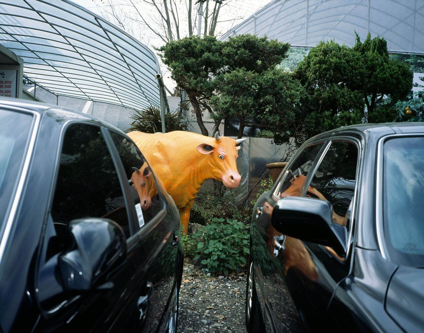 14. Plastic Eye, Lamda Print, 120x170cm, 2010