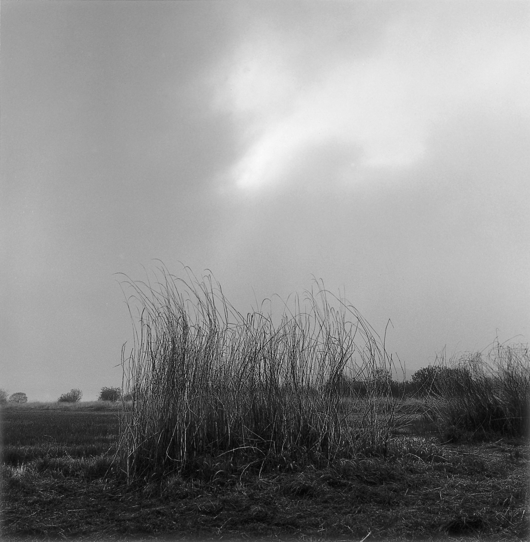 14. existence serise 2, Gelatin Silver Print, 16x20inch, 2005-2011