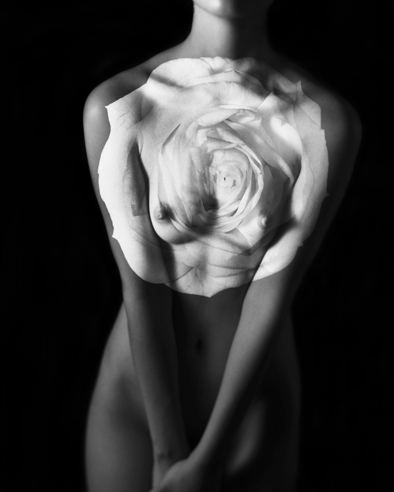 15-[FLOWOM]_pigment prin_40x50in_2008