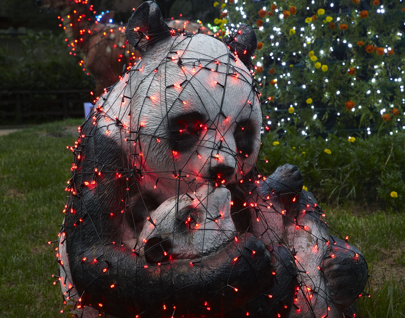 15. Plastic Eye, Lamda Print, 120x170cm, 2010