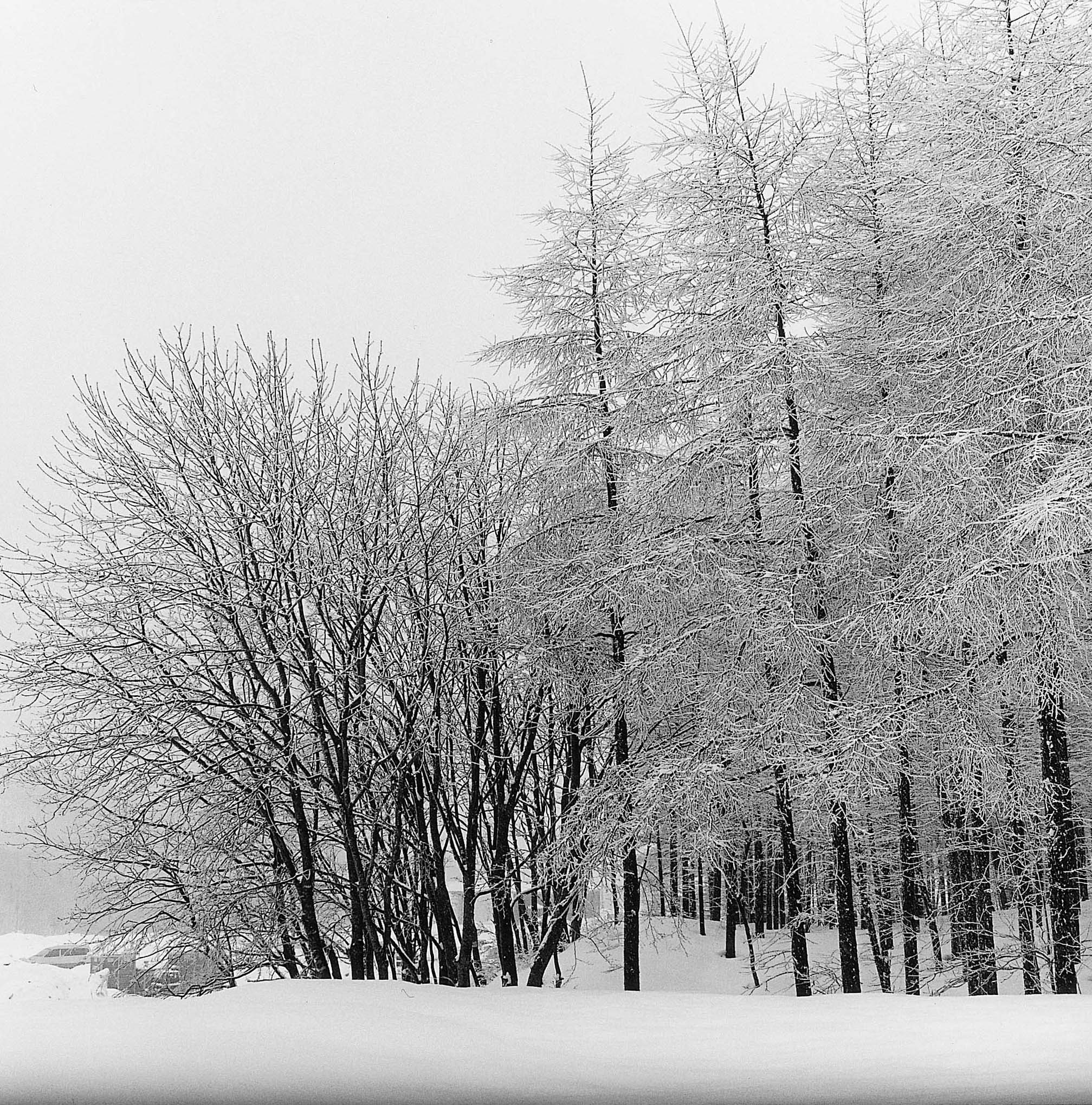 15. existence serise 2, Gelatin Silver Print, 16x20inch, 2005-2011