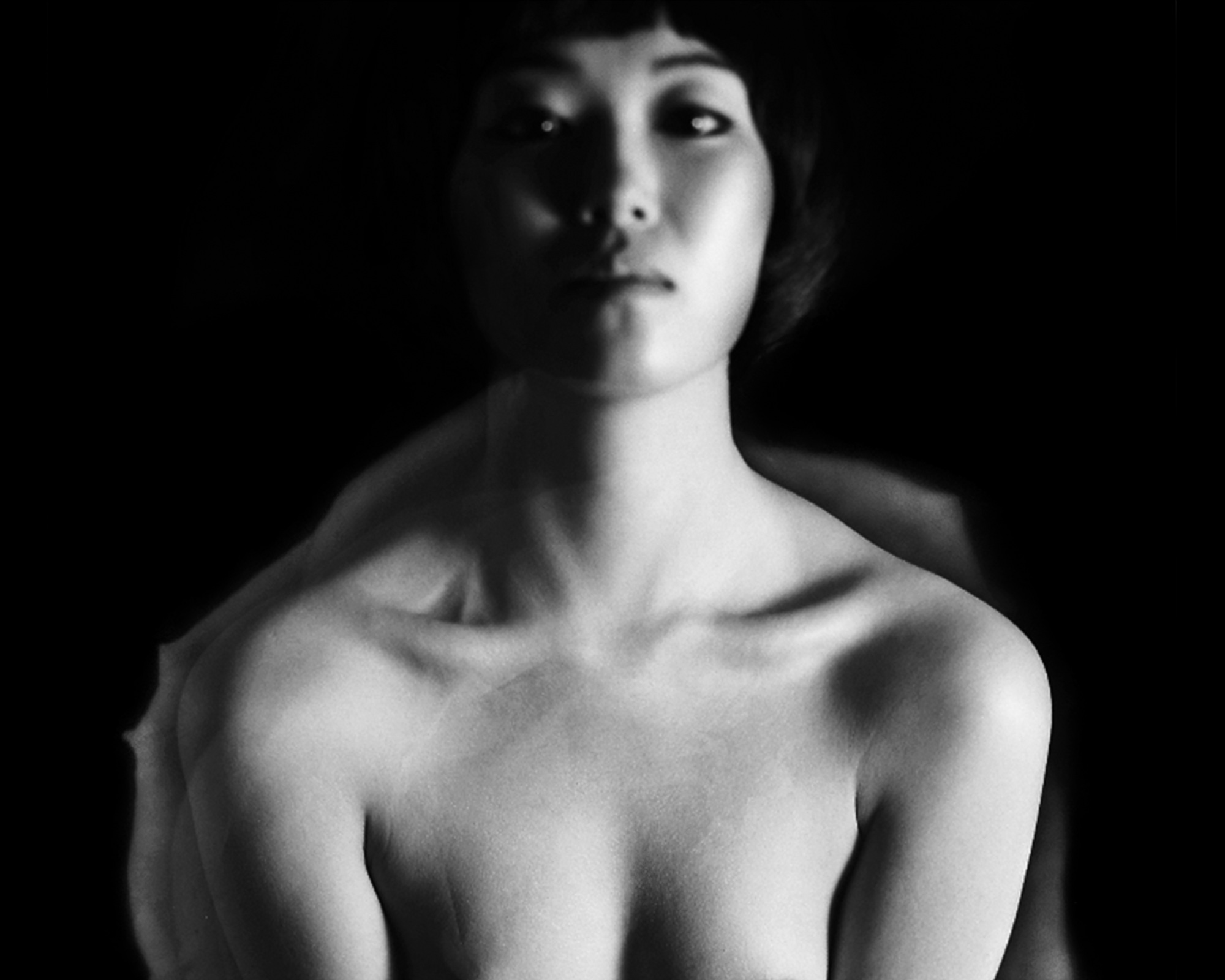 16-[FLOWOM]_pigment prin_40x50in_2008