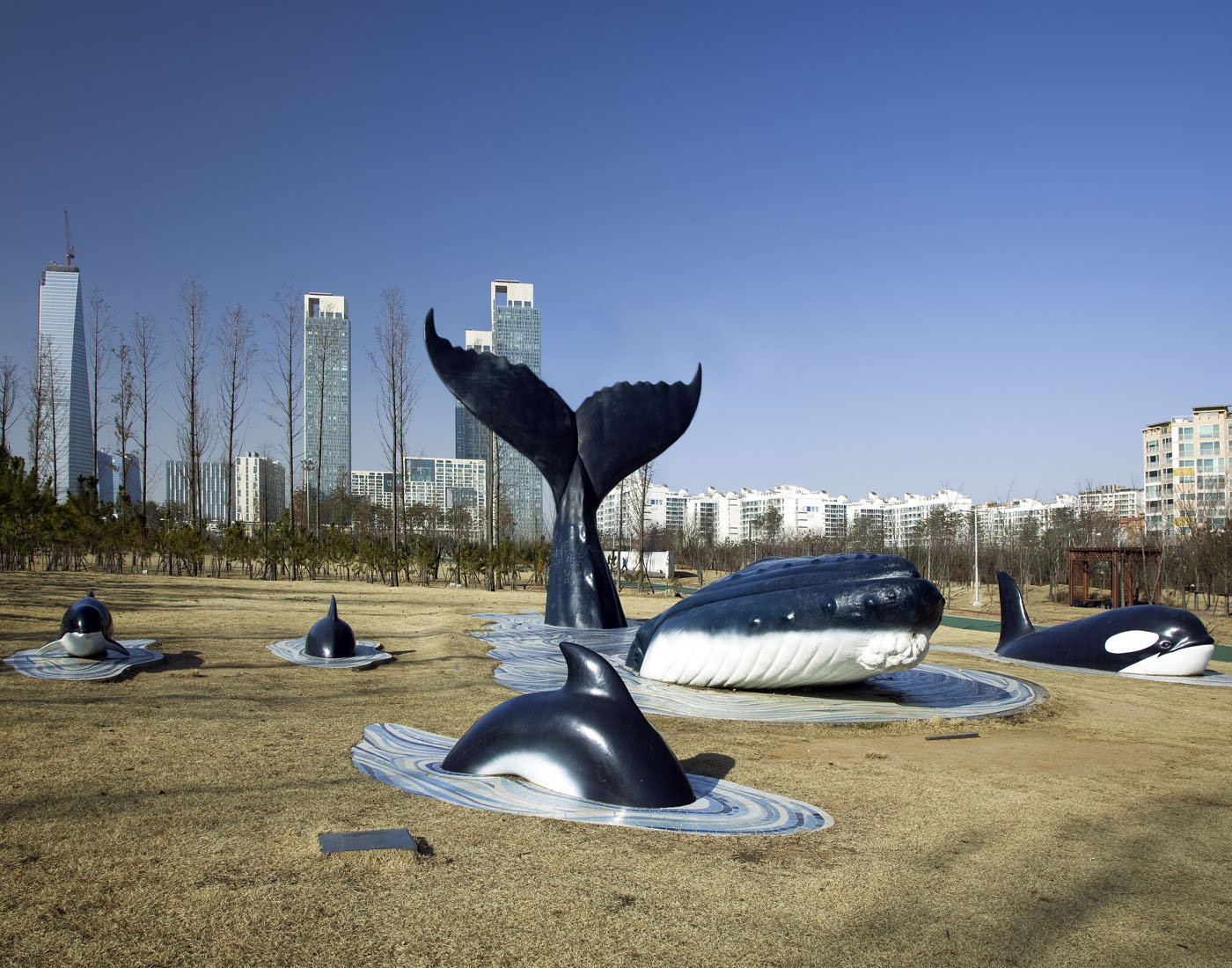 16. Plastic Eye, Lamda Print, 120x170cm, 2010