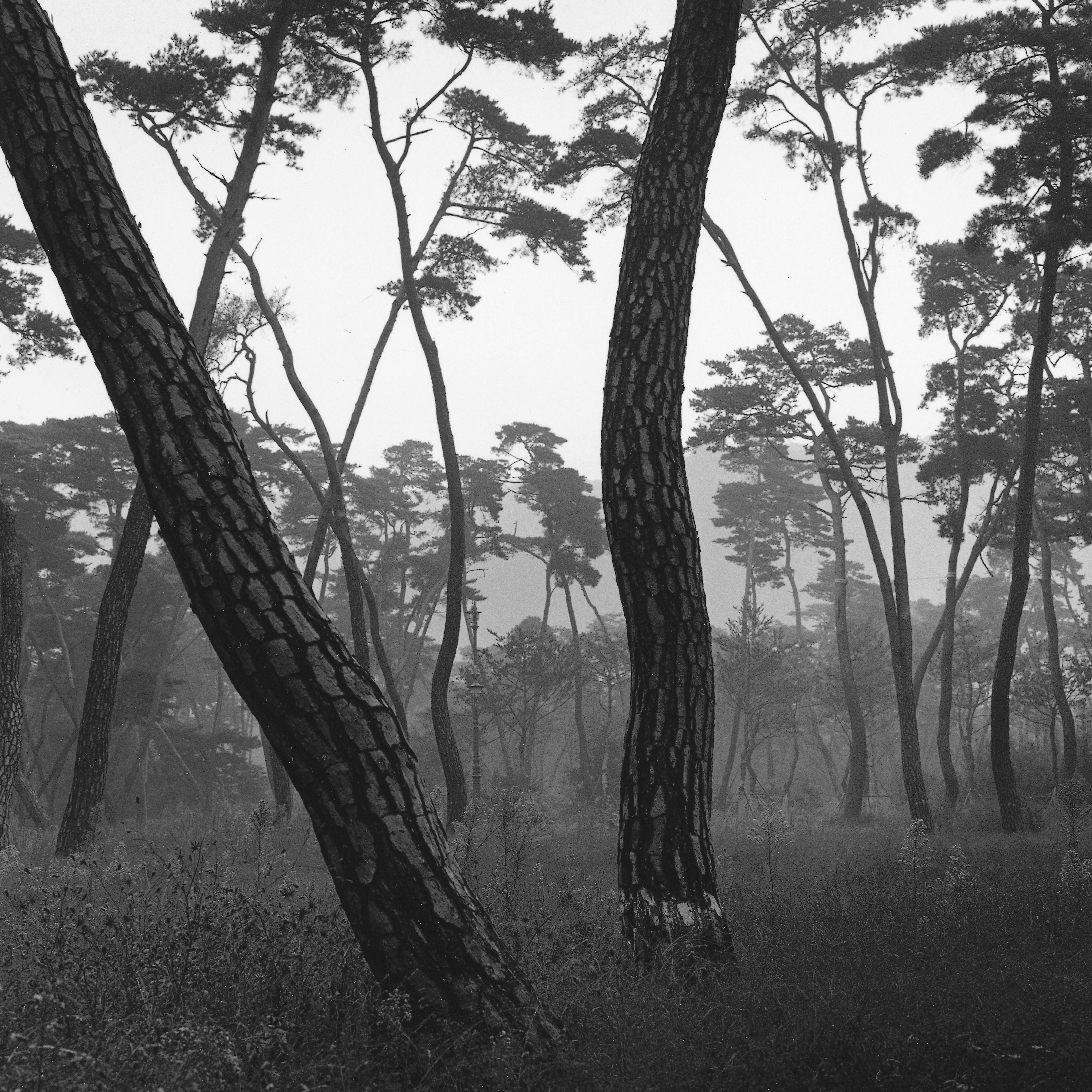 16. existence serise 2, Gelatin Silver Print, 16x20inch, 2005-2011