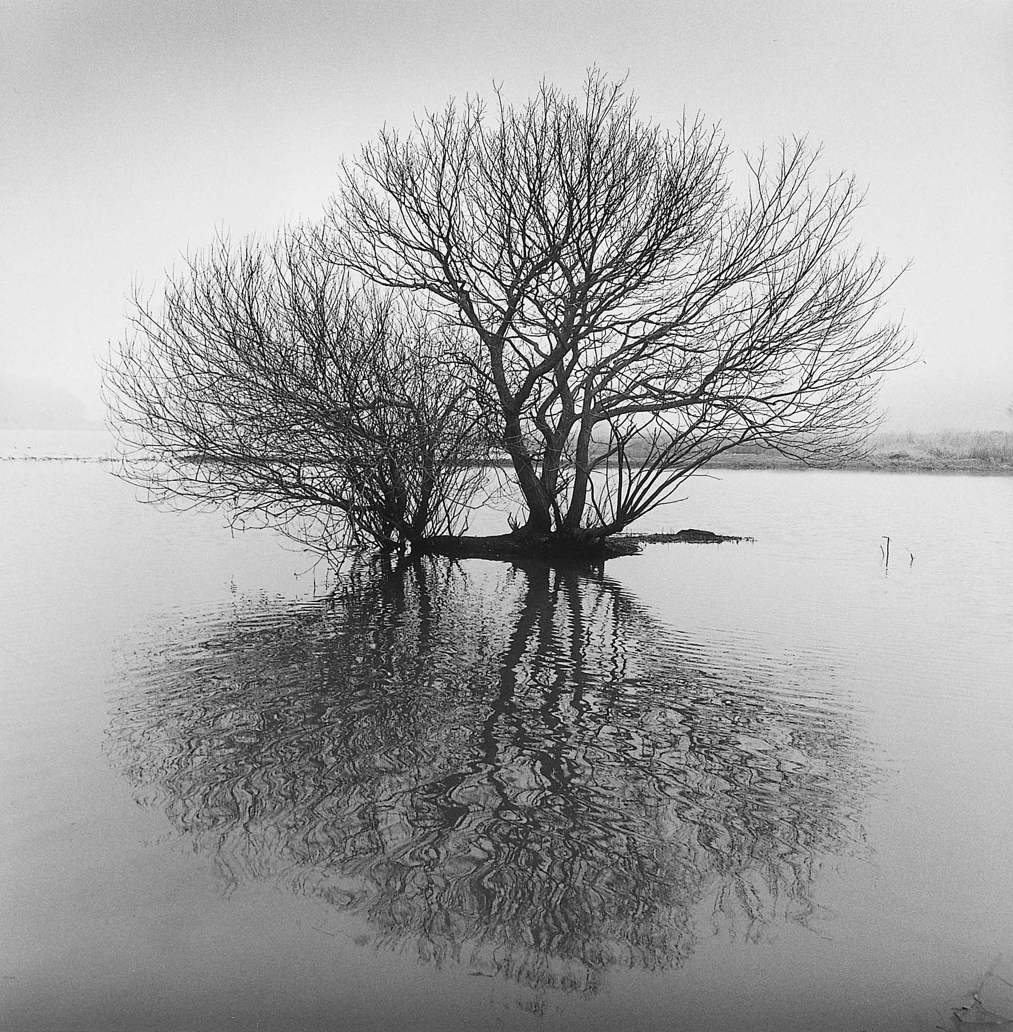 17. existence serise 2, Gelatin Silver Print, 16x20inch, 2005-2011
