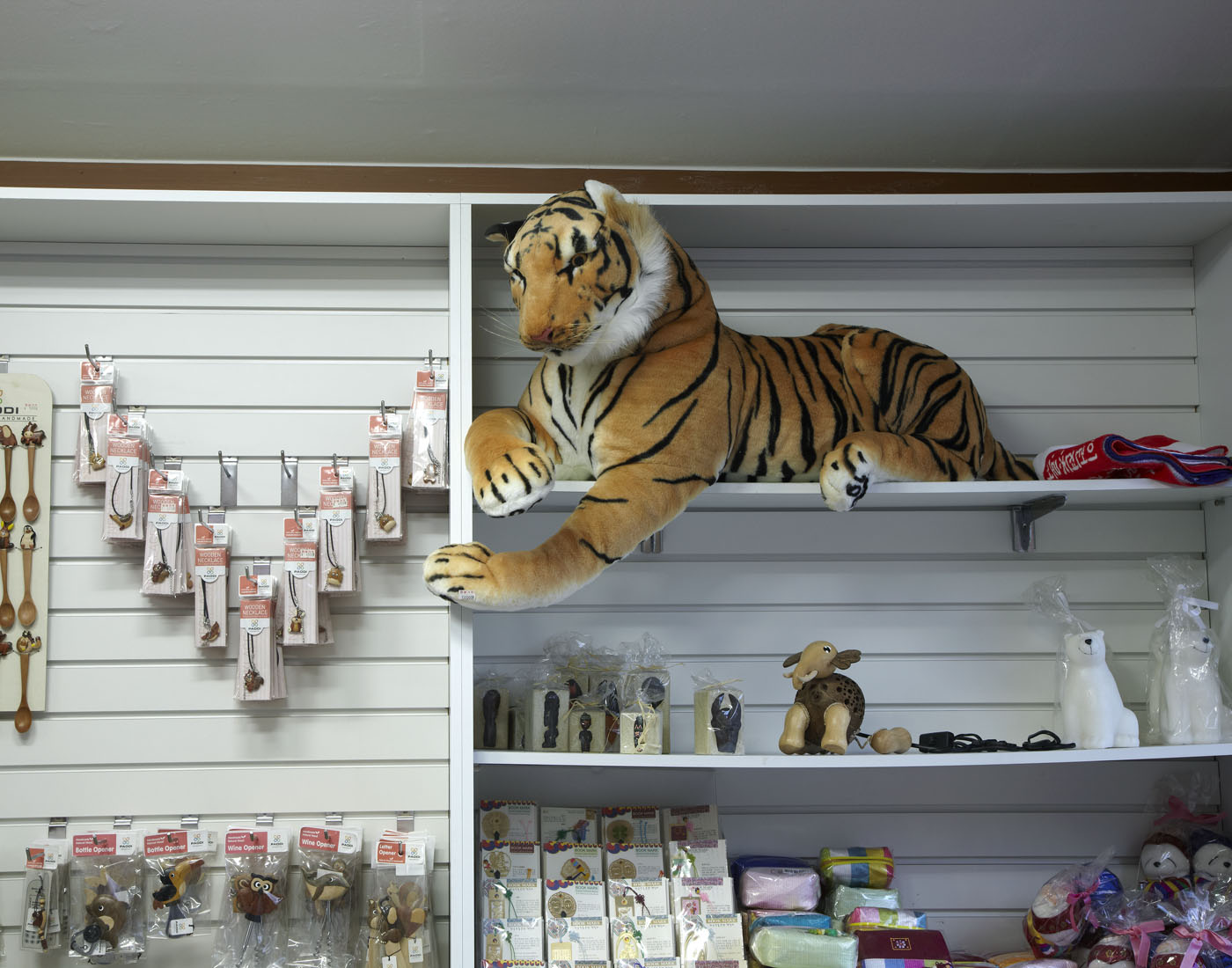 18. Plastic Eye, Lamda Print, 120x170cm, 2010