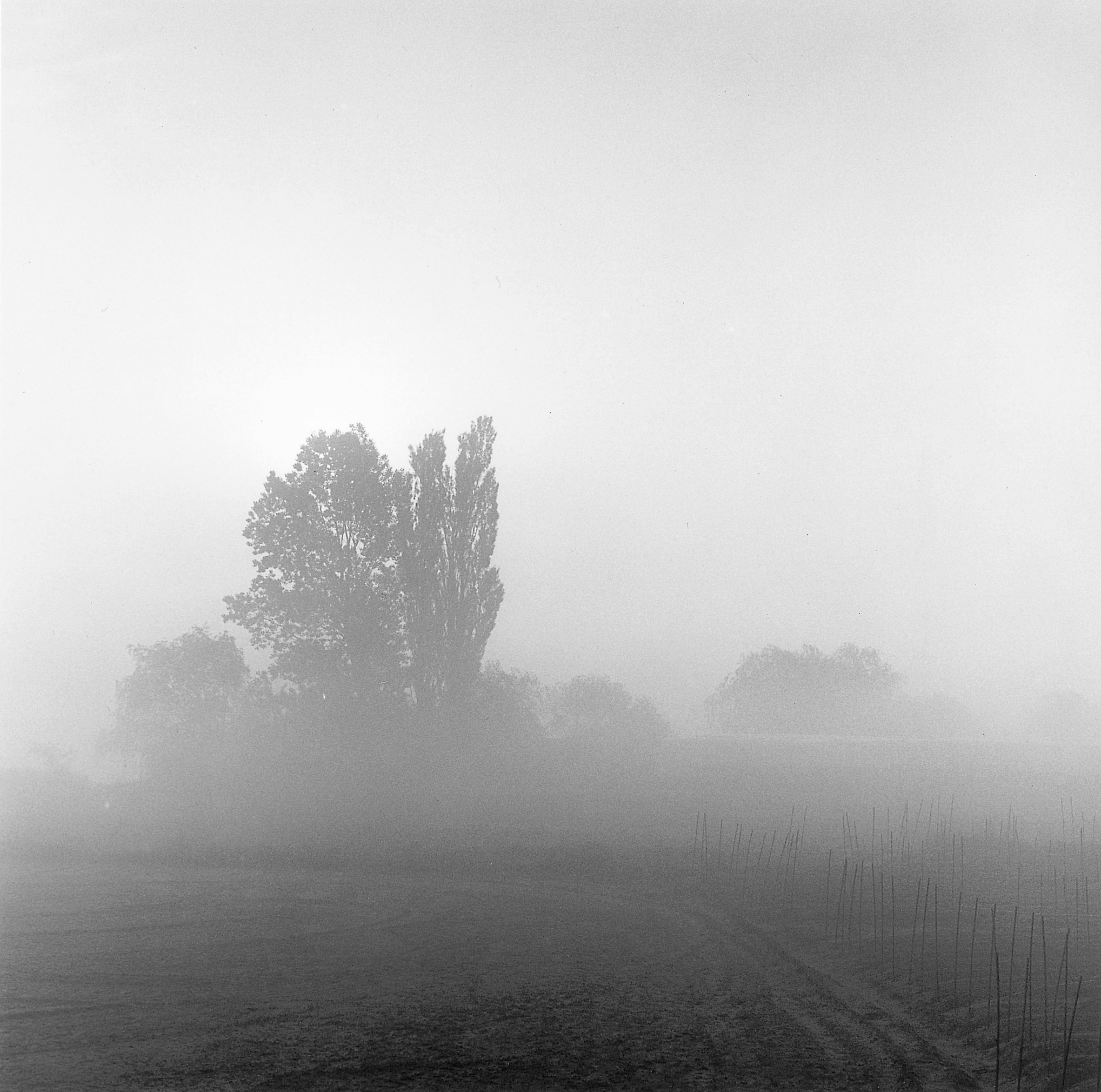 18. existence serise 2, Gelatin Silver Print, 16x20inch, 2005-2011