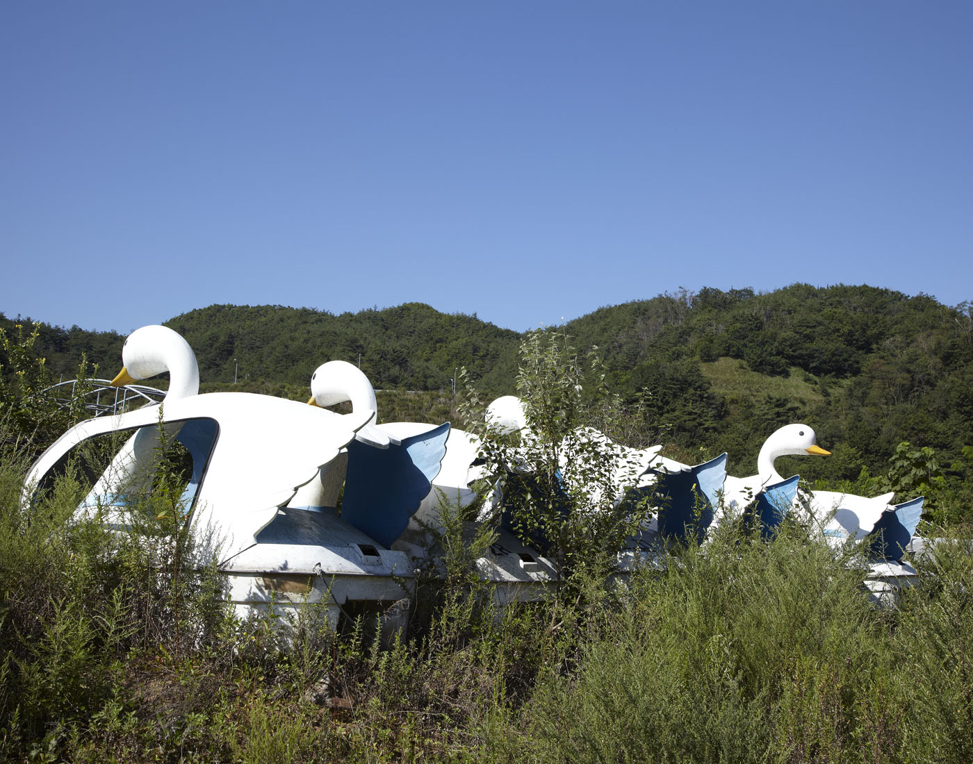 19. Plastic Eye, Lamda Print, 120x170cm, 2010