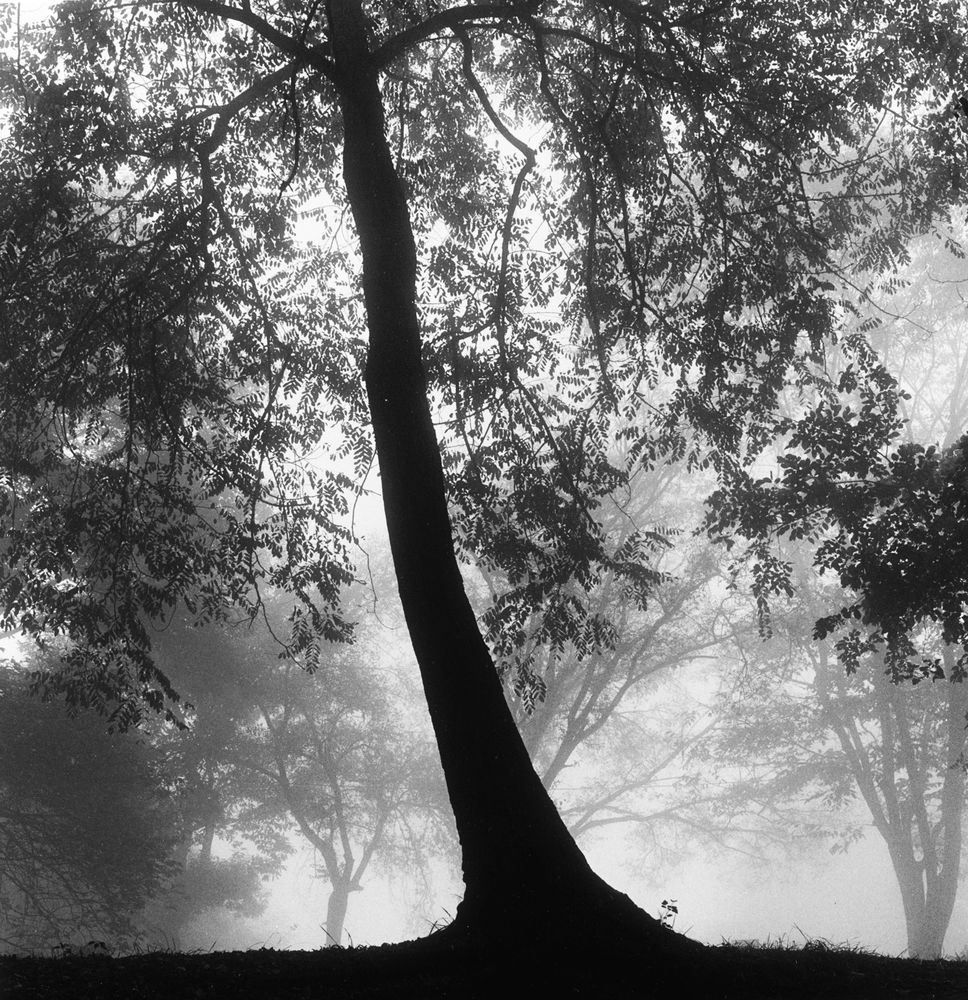 19. existence serise 2, Gelatin Silver Print, 16x20inch, 2005-2011