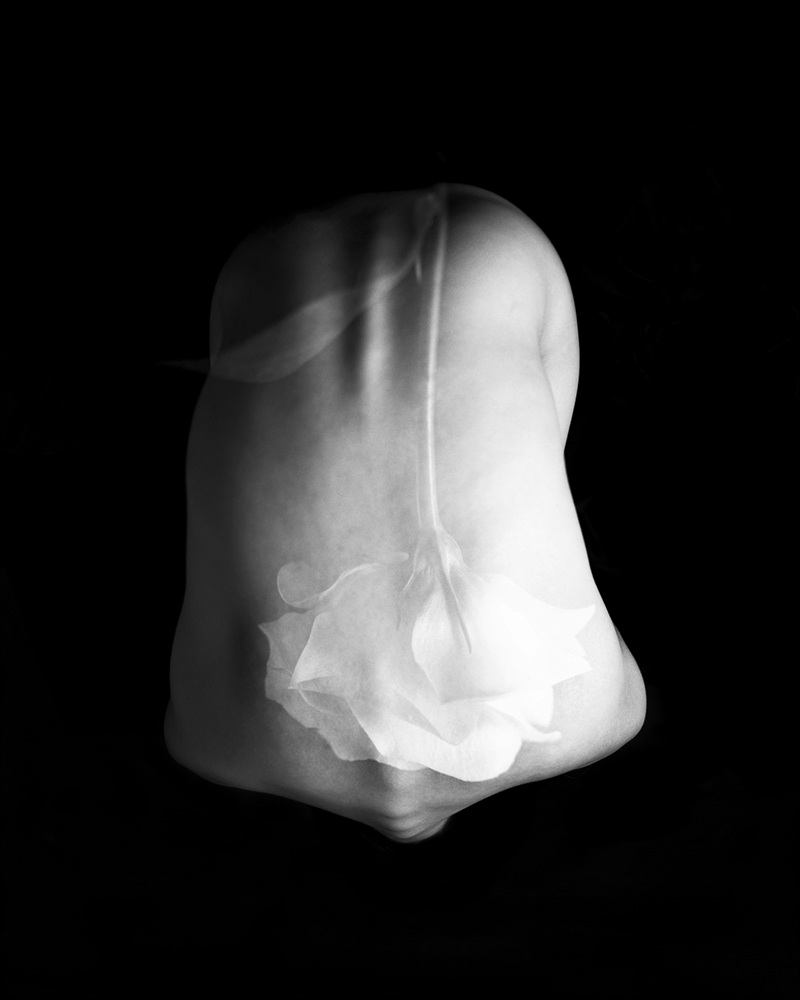 2-[FLOWOM]_pigment prin_40x50in_2008