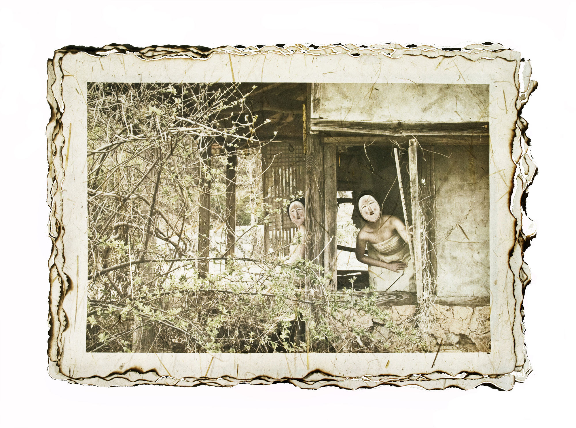 2-[脫;脫]_hanji,pigment prin_40x60in_2009