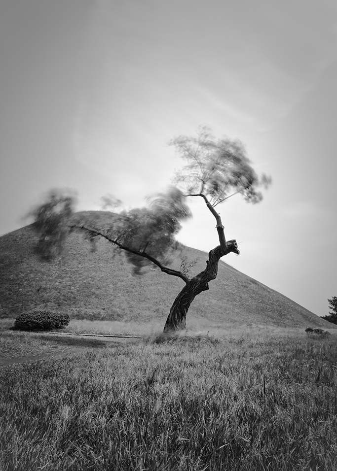 2. Just want to see, Pigment Print, 24x36inch, 2013-2014