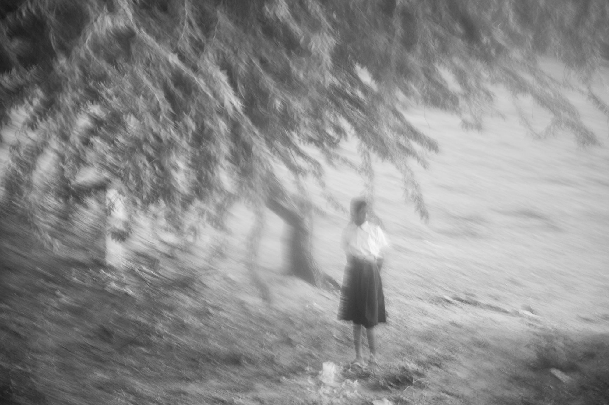 2. Life from Time-Space, 2014