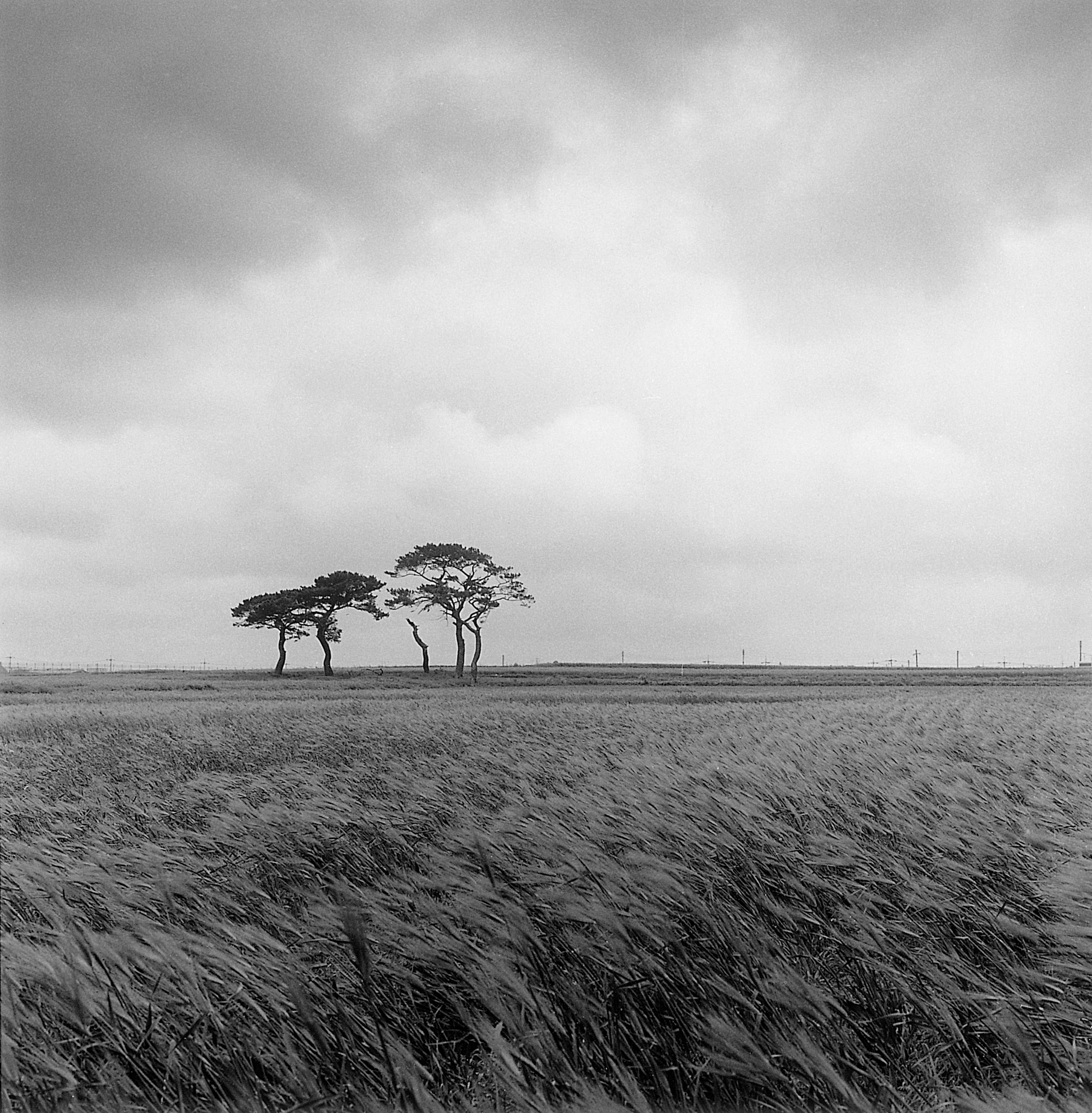 2. existence serise 2, Gelatin Silver Print, 16x20inch, 2005-2011