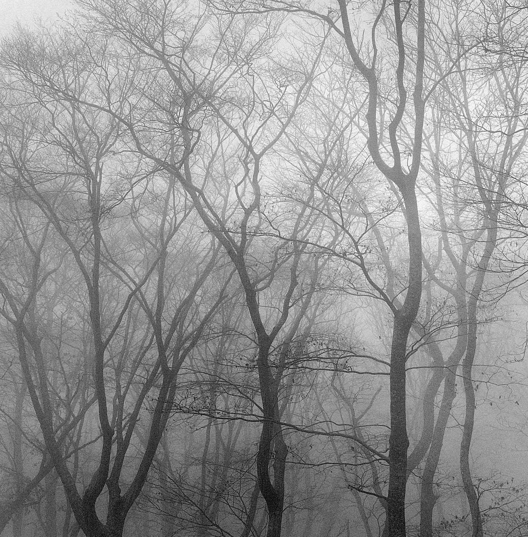 20. existence serise 2, Gelatin Silver Print, 16x20inch, 2005-2011