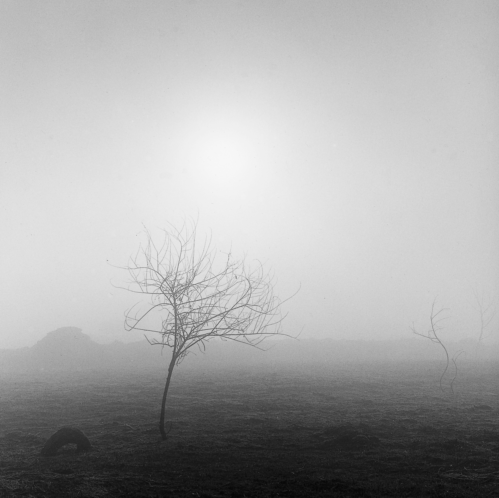 22. existence serise 2, Gelatin Silver Print, 16x20inch, 2005-2011