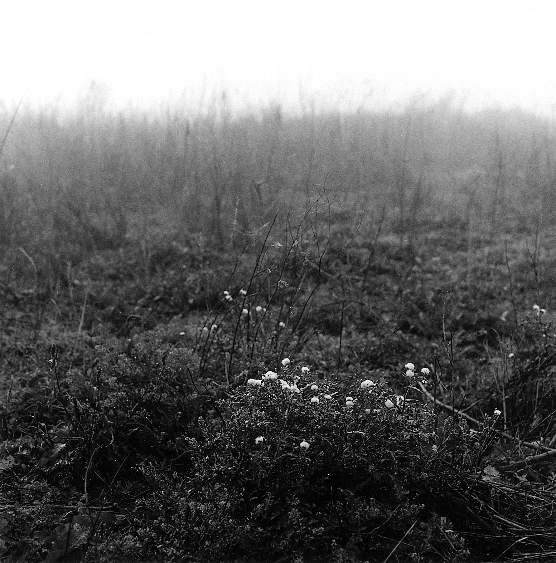 23. existence serise 2, Gelatin Silver Print, 16x20inch, 2005-2011