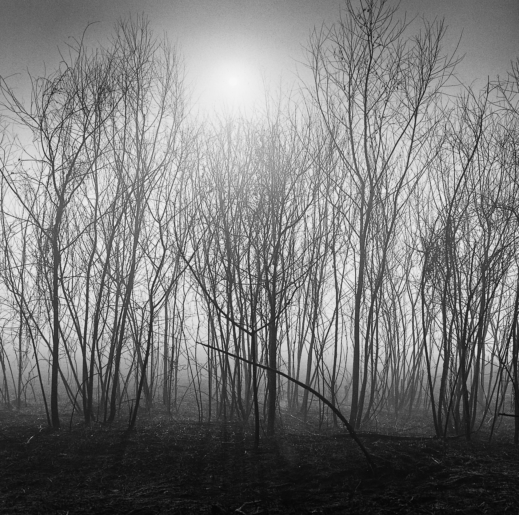 24. existence serise 2, Gelatin Silver Print, 16x20inch, 2005-2011