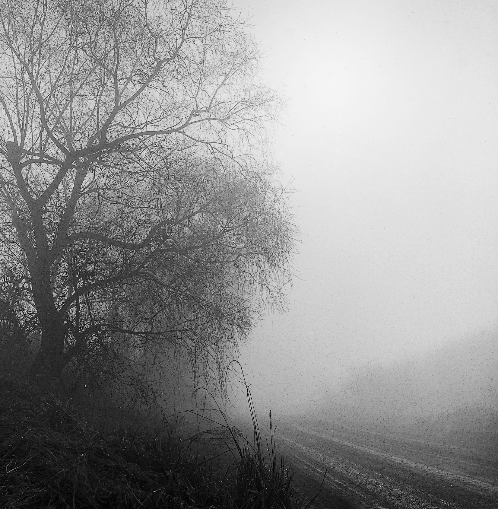 25. existence serise 2, Gelatin Silver Print, 16x20inch, 2005-2011