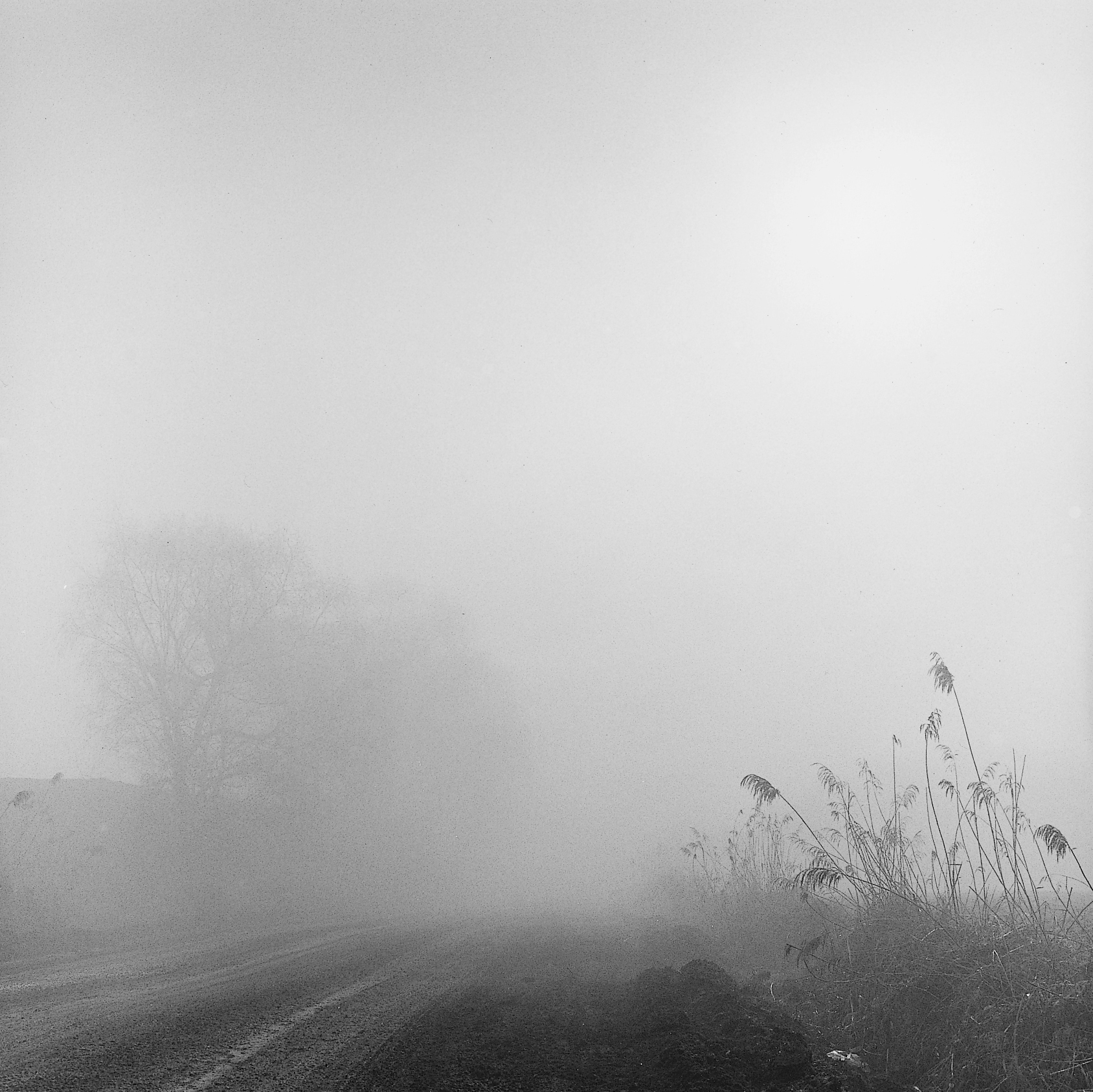 26. existence serise 2, Gelatin Silver Print, 16x20inch, 2005-2011