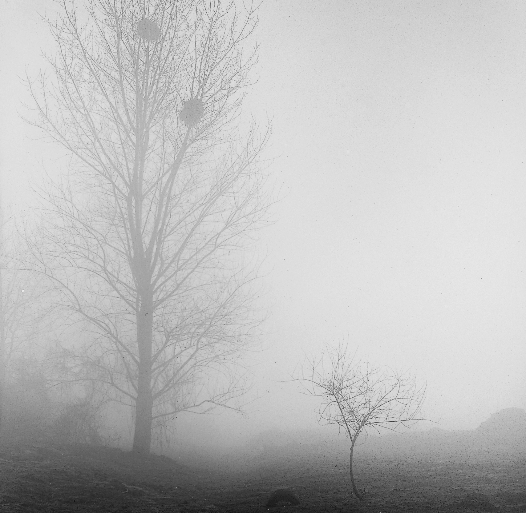 27. existence serise 2, Gelatin Silver Print, 16x20inch, 2005-2011