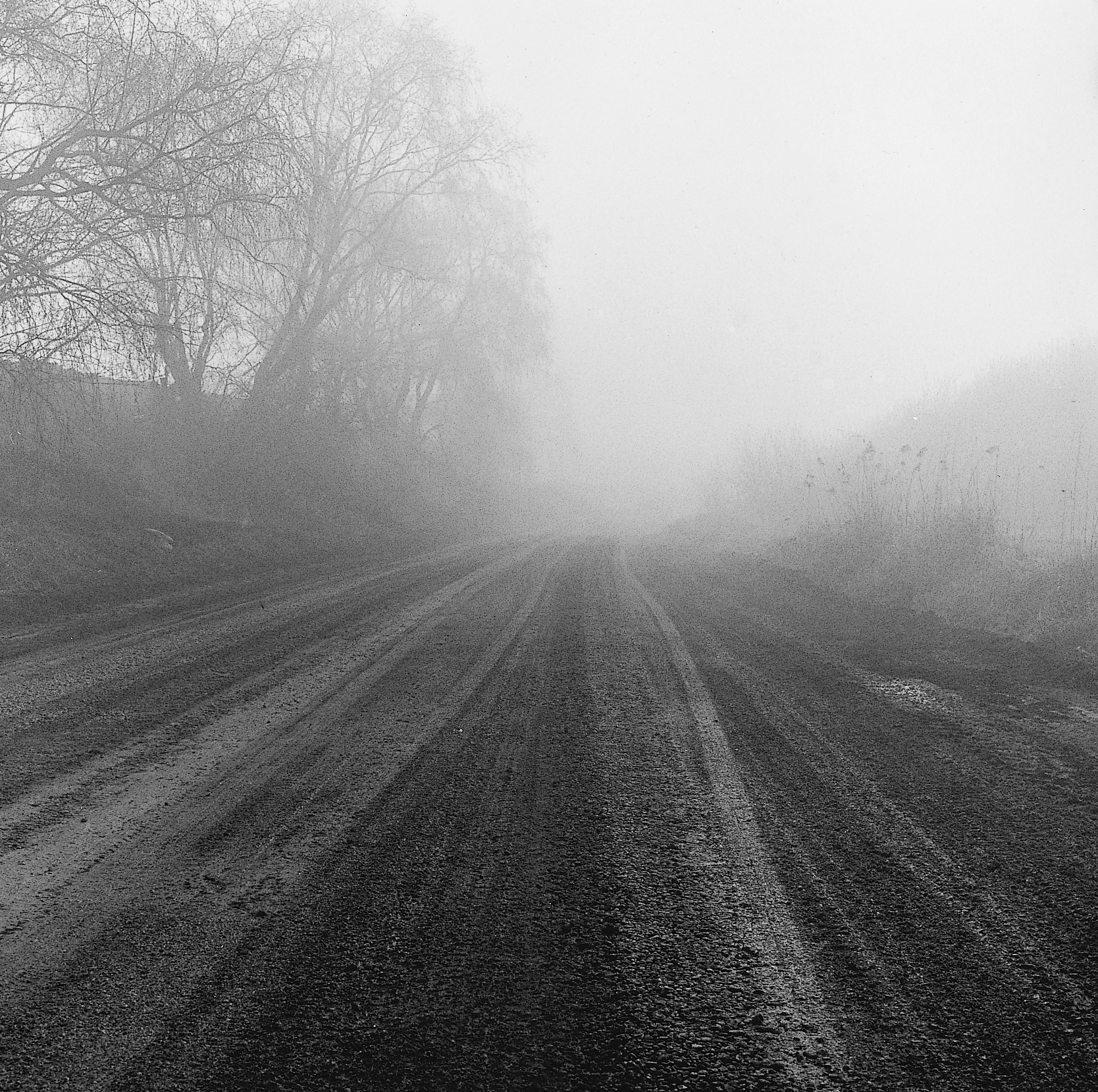 28. existence serise 2, Gelatin Silver Print, 16x20inch, 2005-2011