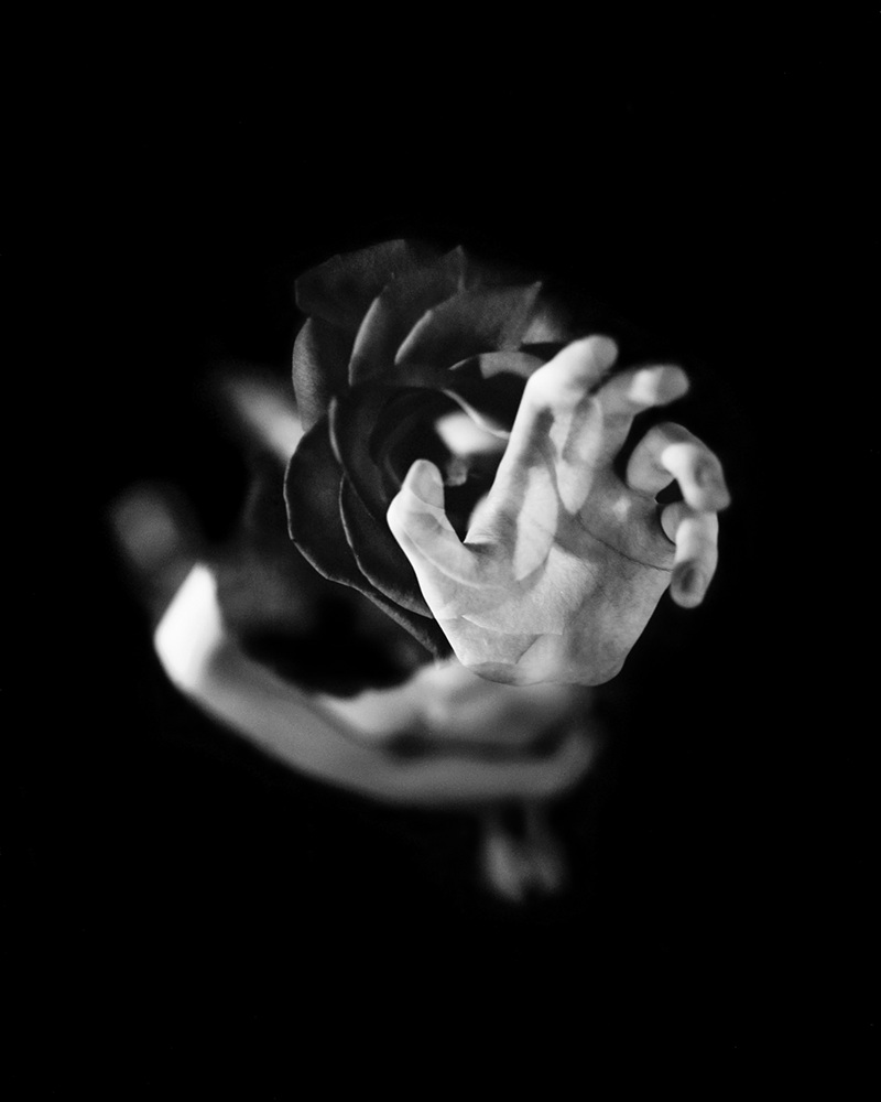 3-[FLOWOM]_pigment prin_40x50in_2008