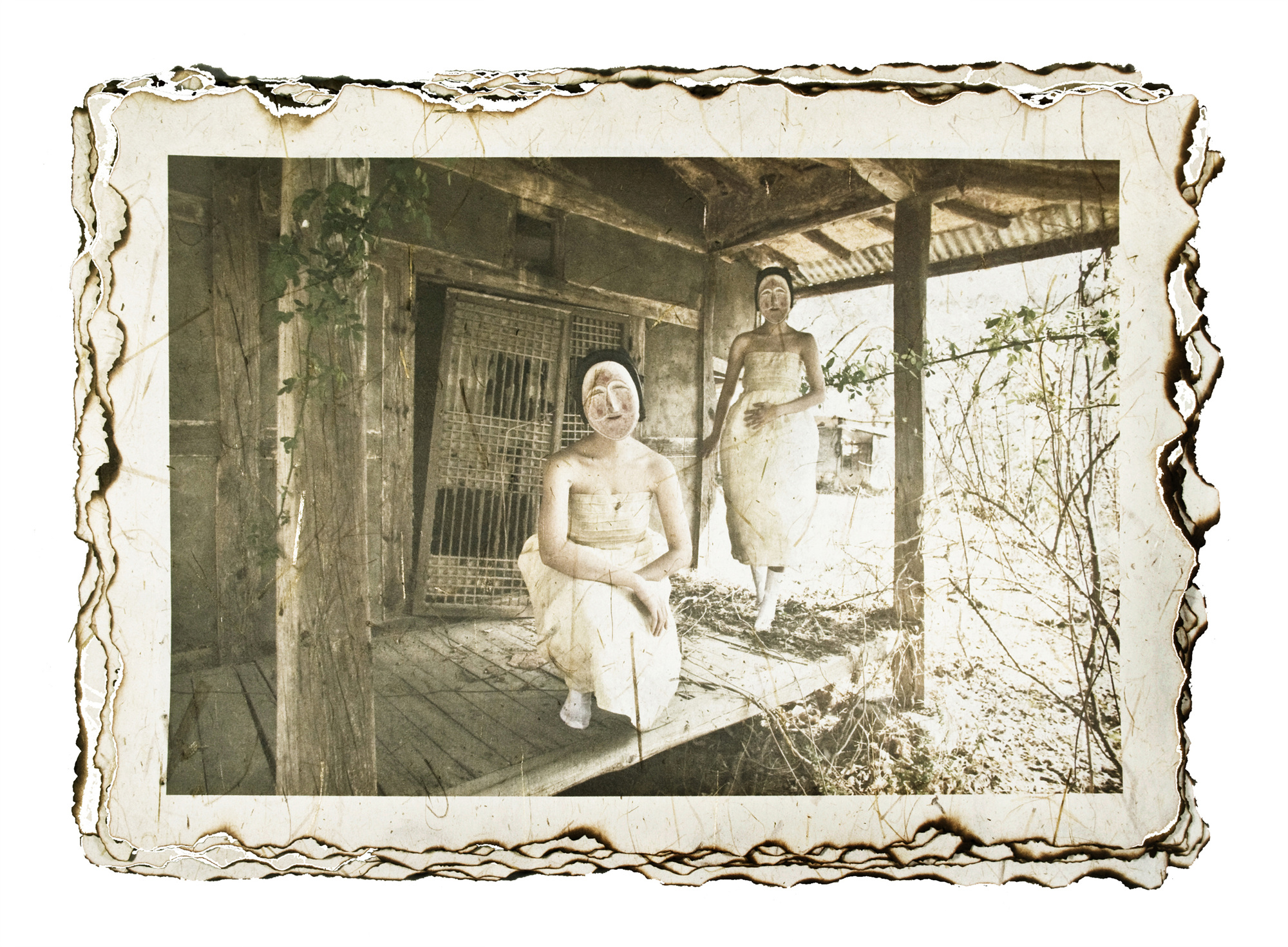 3-[脫;脫]_hanji,pigment prin_40x60in_2009